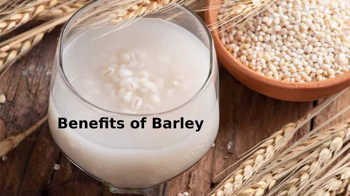 Benefits of Barley – Introduction, Setup Method and More