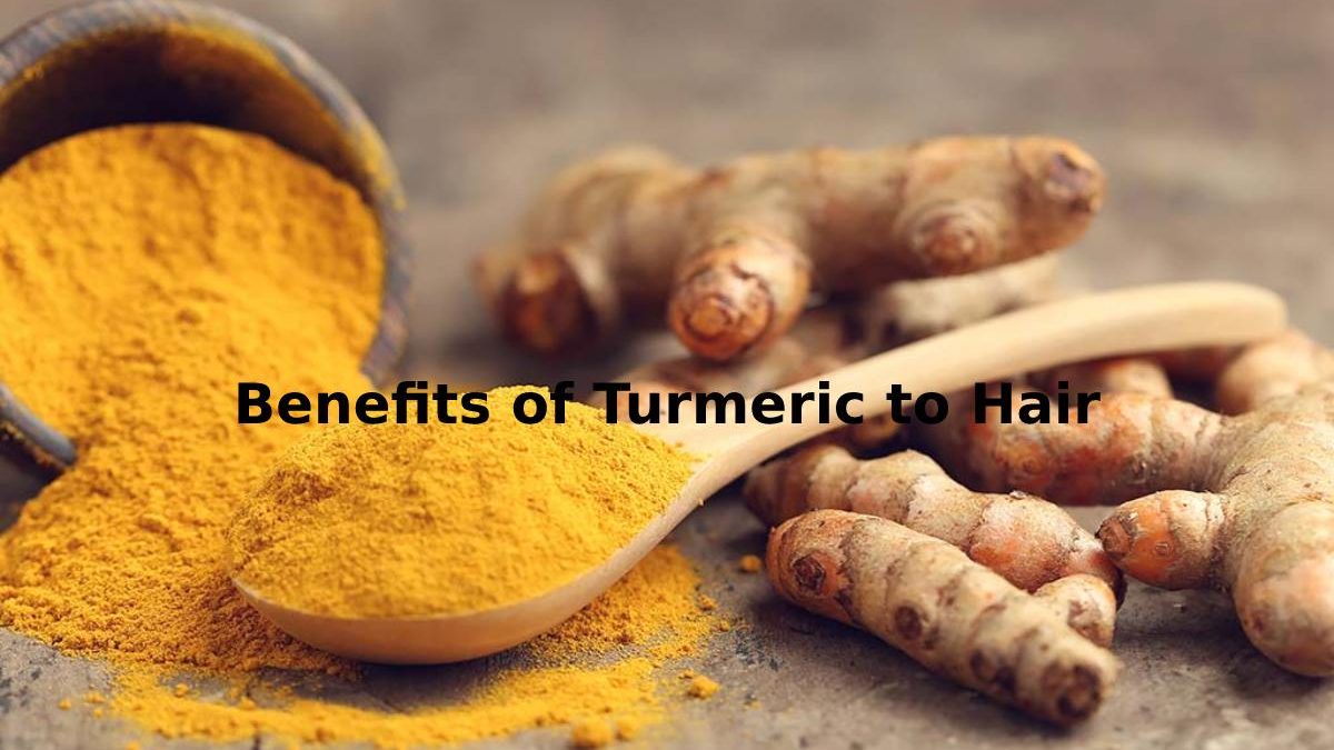 Benefits of Turmeric to Hair – Introduction, How to Use and More