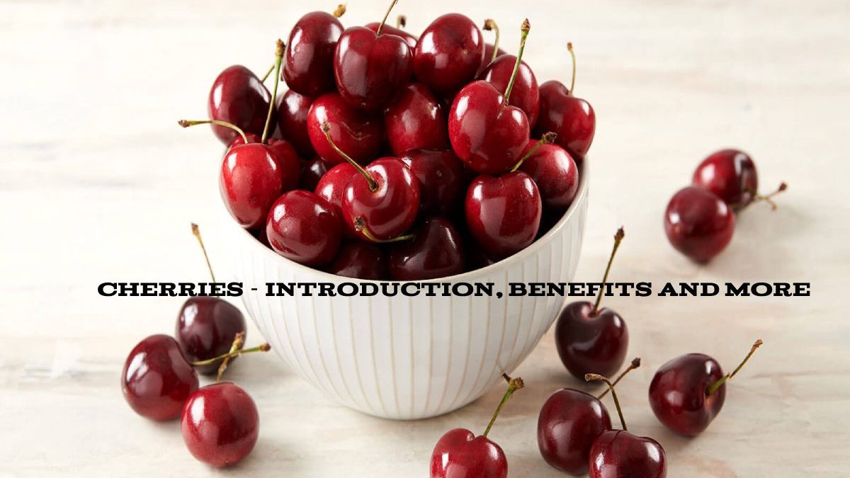 Cherries – Introduction, Benefits and More