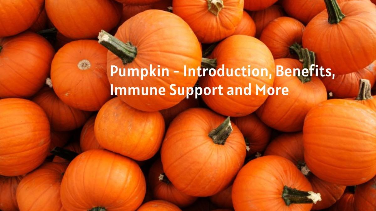 Pumpkin – Introduction, Benefits, Immune Support and More