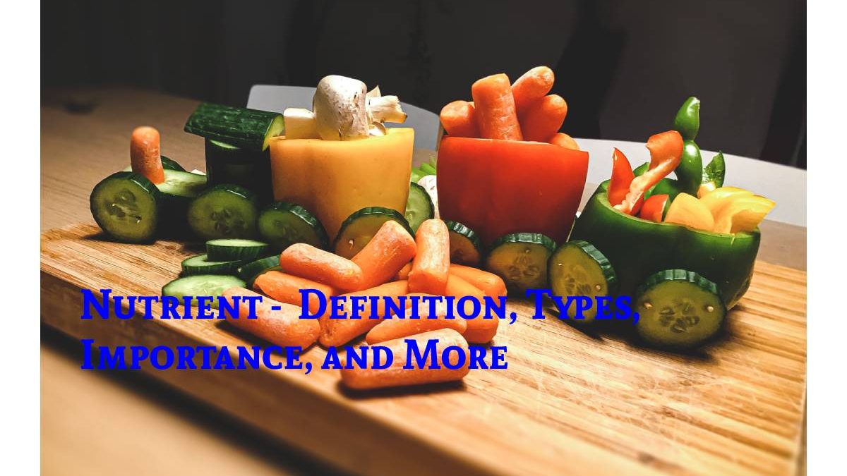 Nutrient –  Definition, Types, Importance, and More