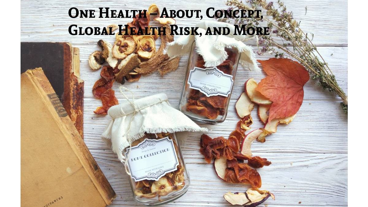 One Health – About, Concept, Global Health Risk, and More