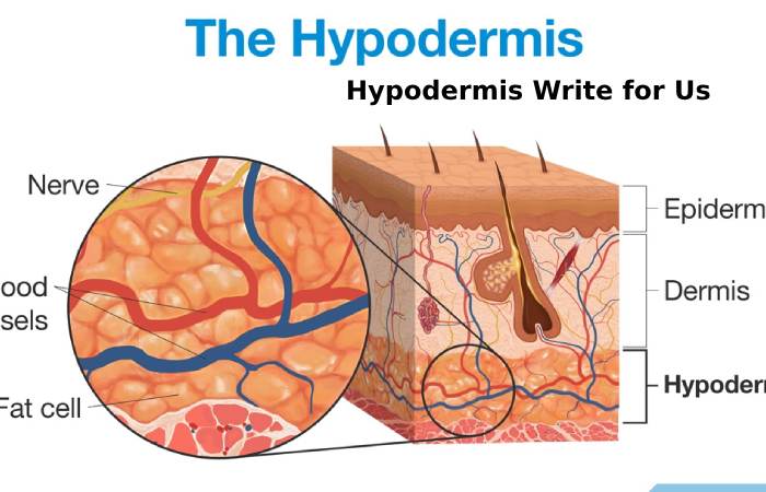 hypodermis write for us