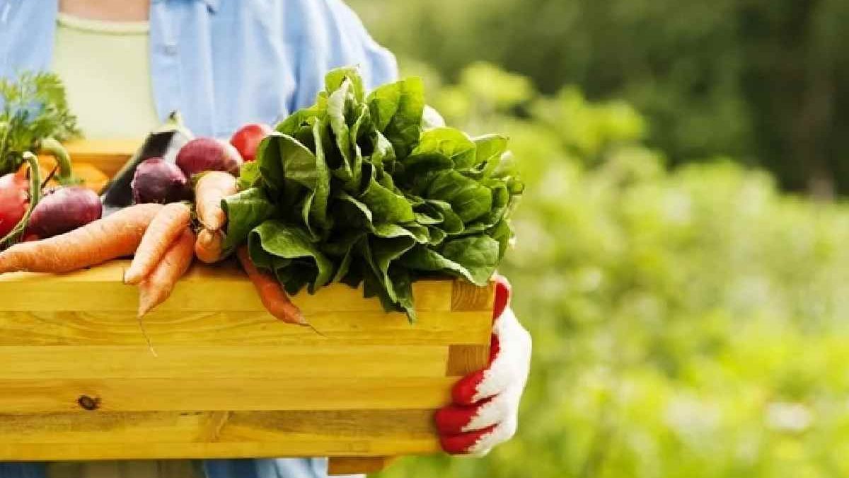 Eating Organic: 6 Noteworthy Health Benefits to Anticipate
