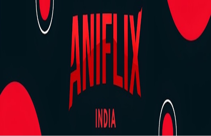 ANIFLIX ENTERTAINMENT (INDIA) PRIVATE LIMITED