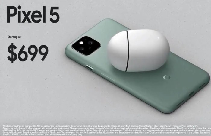How much will Pixel 5 cost_