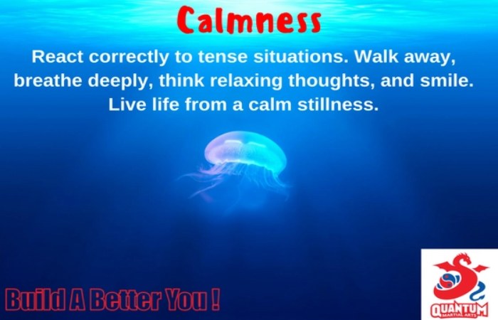 What is Calmness?