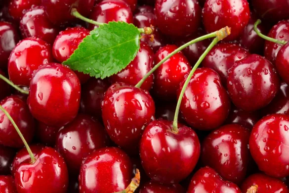 Benefits Of Cherries for Skin and Hair