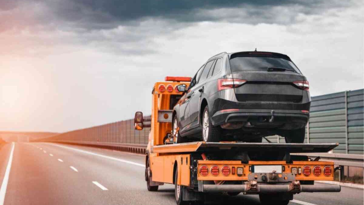 Professional Suggestions for Smart State Car Shipping